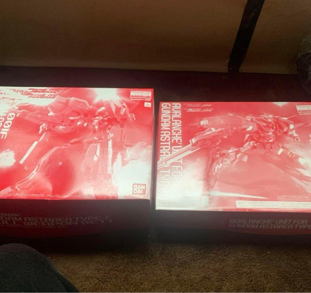 MG1/100ガンダムアストレアtype-Fフルウェポン&アバランチユニット